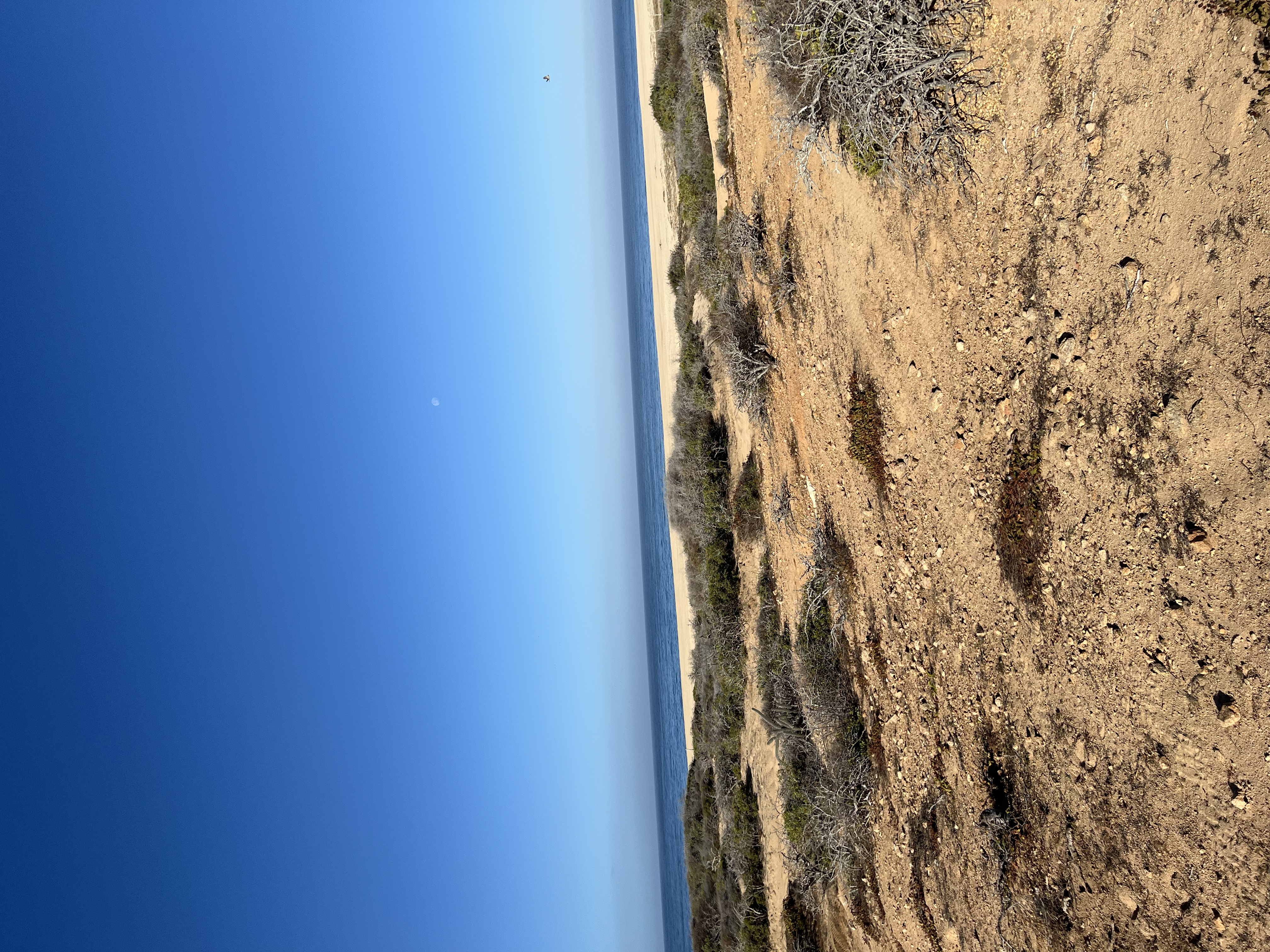 ./2024/13 - Cabo/IMG_4384.jpg